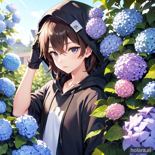 hoodie boy and hydrangea